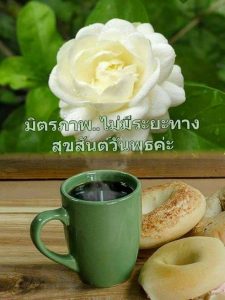 สวัสดีวันพุธ กาแฟ ดอกกุหลาบสีขาว